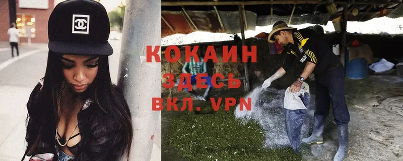 купить закладку  Курильск  Cocaine VHQ 