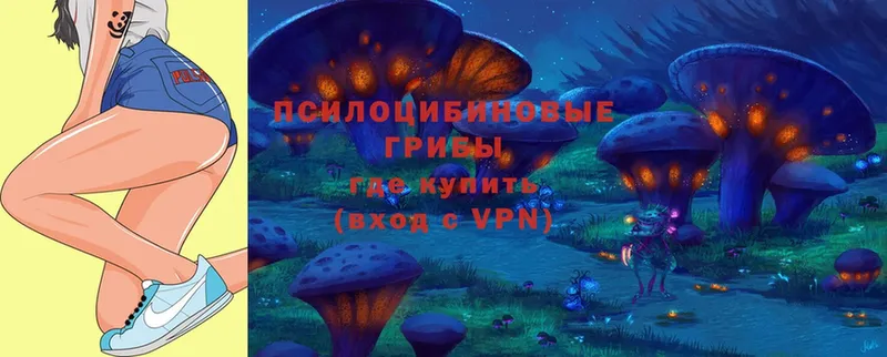 Псилоцибиновые грибы Magic Shrooms  Курильск 